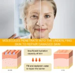 Eelhoe Ginseng Facial Essence Ginseng Anti-Wrinkle Essence Ginseng Anti Aging Essence Gold Peptide Deeply Moisturize - Image 4